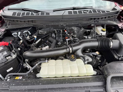 2025 Ford F-150 King Ranch®