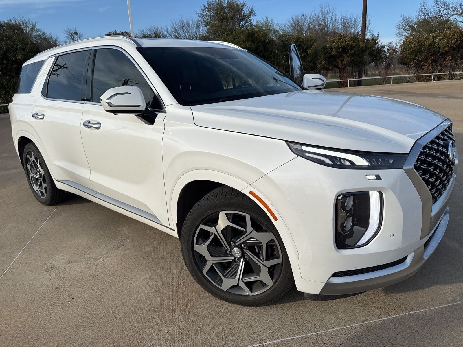 2022 Hyundai Palisade Calligraphy