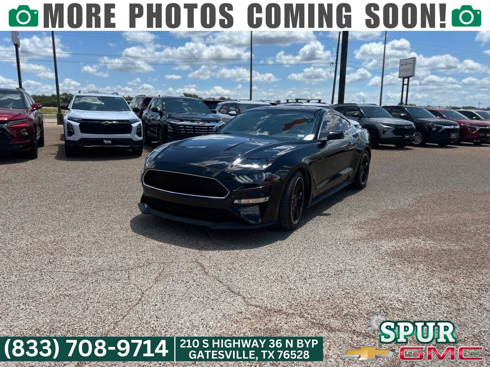 2019 Ford Mustang BULLITT